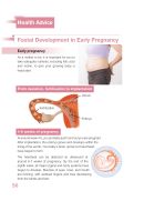 Cover: Foetal development in Early Pregnancy
