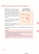 Cover: Breast Changes During Pregnancy